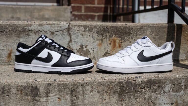 Side-by-side comparison of a Nike Dunk Low Panda and a Nike Court Vision Low sneaker on concrete steps